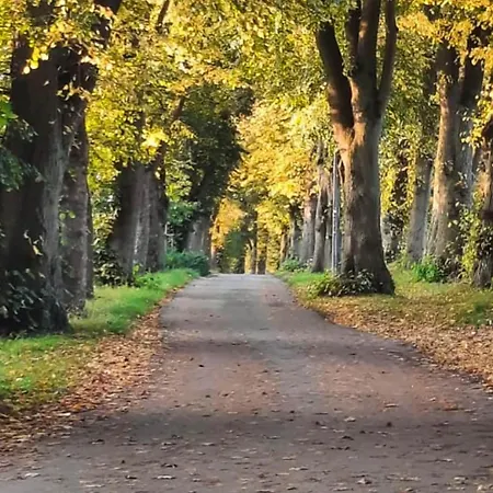 Nachhaltiges In Steinheim Nyaraló *