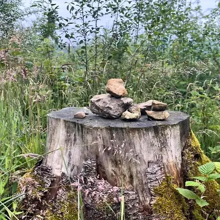 Nachhaltiges In *