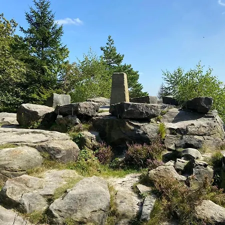 Nachhaltiges In * Steinheim (Westphalia)