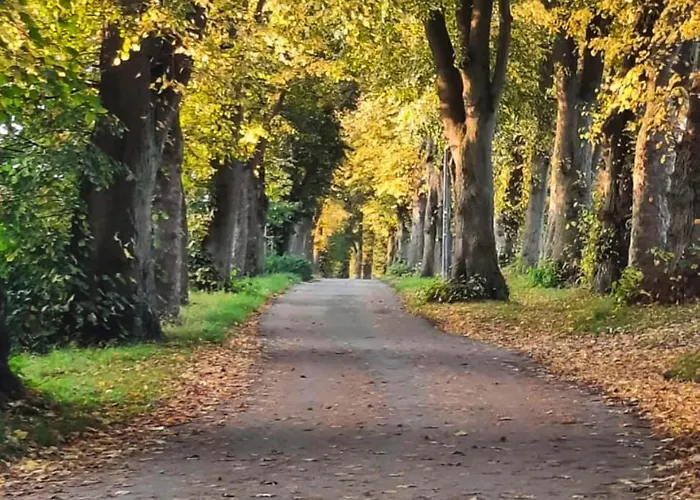 Nachhaltiges In Steinheim Nyaraló *