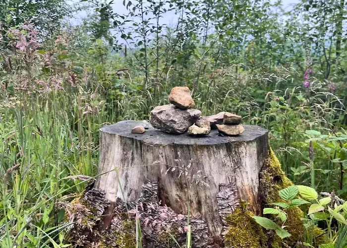 Nachhaltiges In Steinheim *